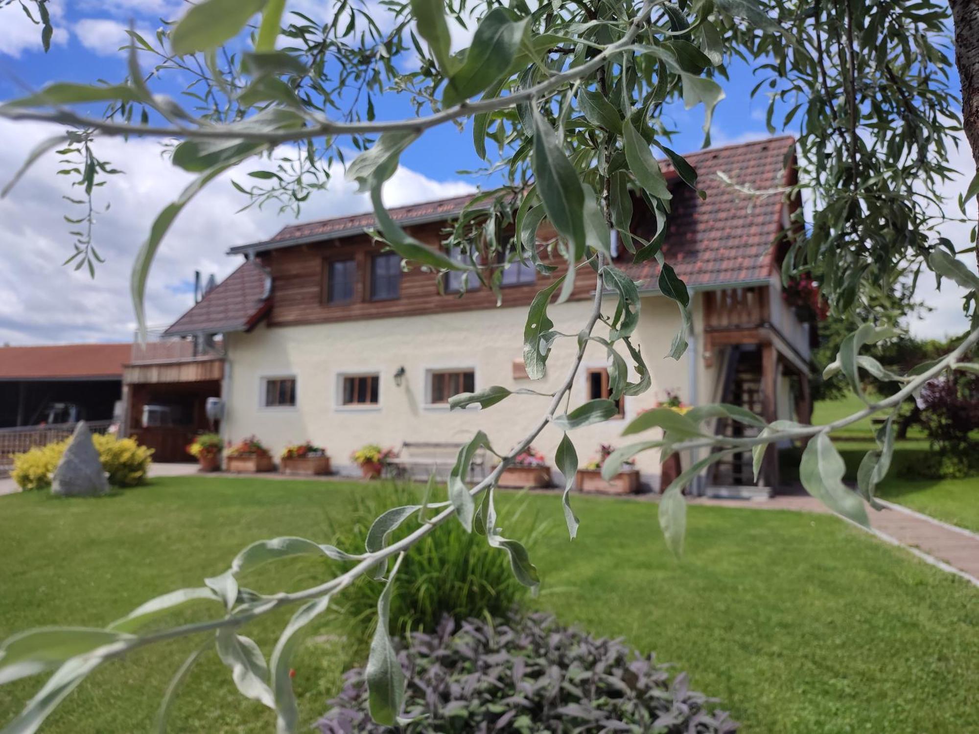 Appartement Promschhof à Semriach Extérieur photo